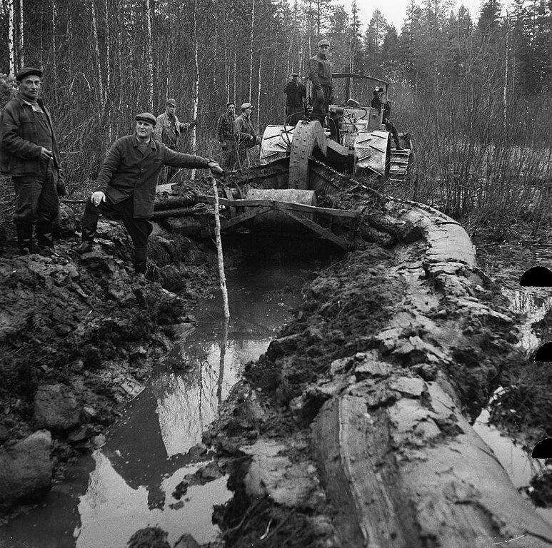 Koskien ja virtavesien perkaukset sekä metsien ja soiden ojitukset ovat vaikuttaneet taimeniin